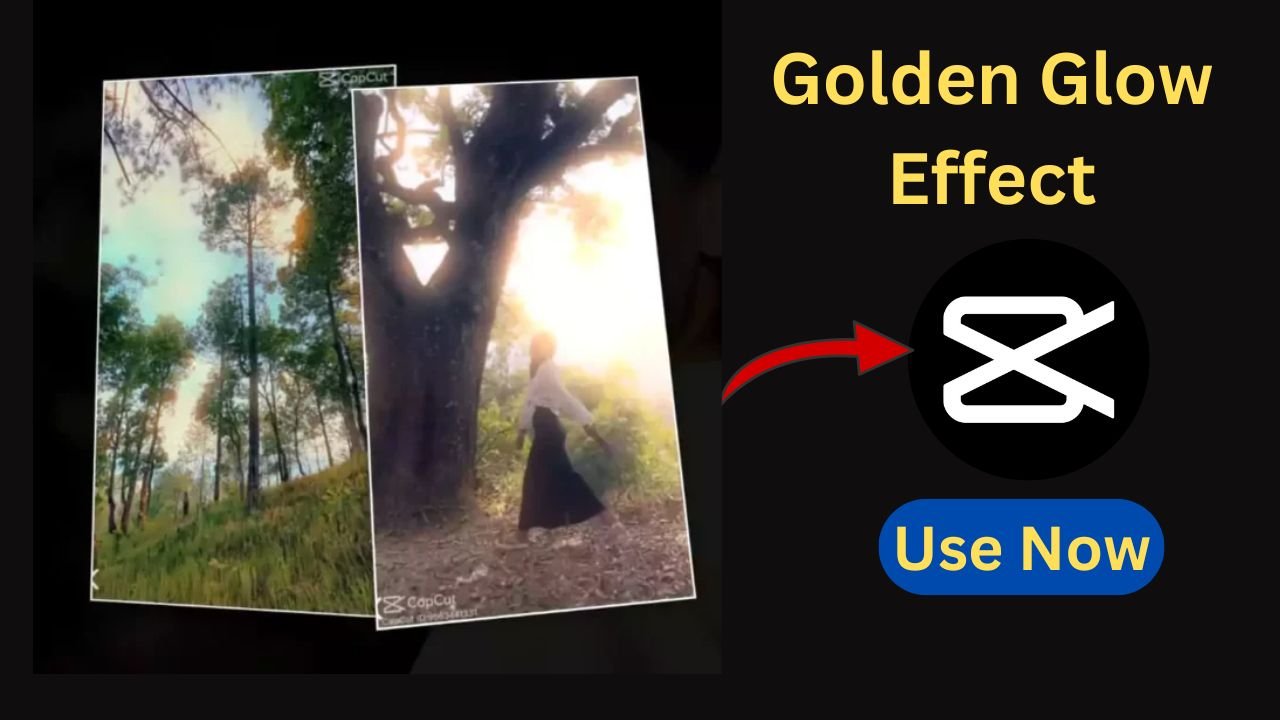 Golden Glow Effect CapCut Template Link